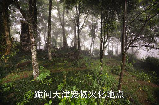 天津市貓叫聲，天津市六區(qū)哪有音箱店具體地址幾路公交車可到達(dá)