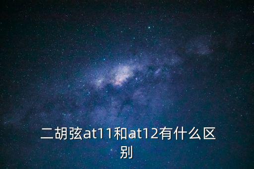 二胡弦,二胡，不能用其他弦代替弦樂器