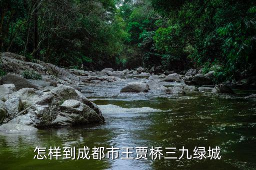 成都市王賈橋三九綠城違建整治，愛情妖精最后郭盈的電話是打給了誰