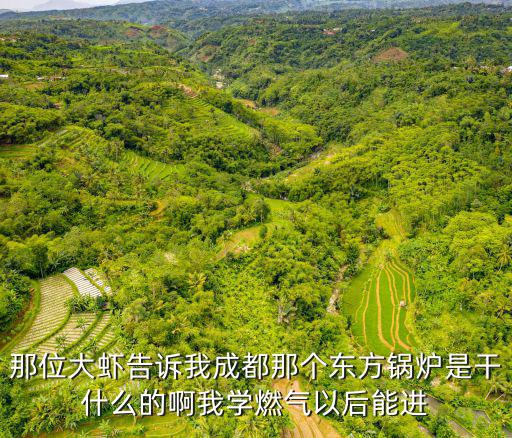 那位大蝦告訴我成都那個東方鍋爐是干什么的啊我學燃氣以后能進