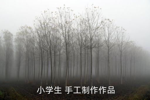 小學(xué)手工,中國民間手工藝術(shù)品展示新的世界