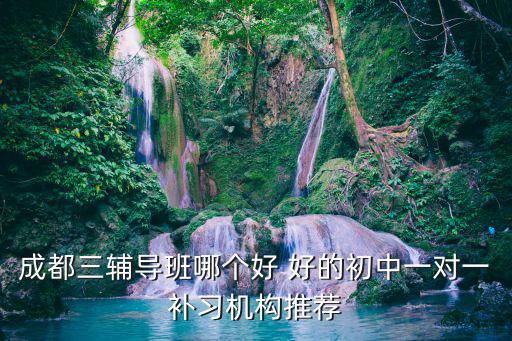 成都三輔導班哪個好 好的初中一對一補習機構推薦
