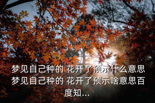 夢見花開了,夢見花開意味著你要大富大貴