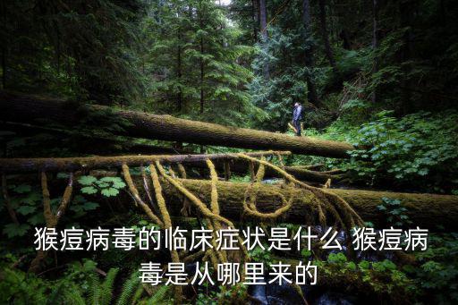 猴痘病毒的臨床癥狀是什么 猴痘病毒是從哪里來的
