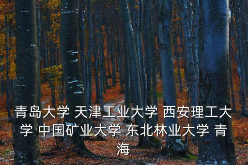 青島大學(xué) 天津工業(yè)大學(xué) 西安理工大學(xué) 中國礦業(yè)大學(xué) 東北林業(yè)大學(xué) 青海