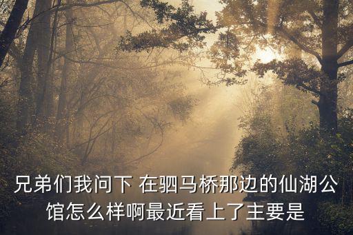 兄弟們我問下 在駟馬橋那邊的仙湖公館怎么樣啊最近看上了主要是