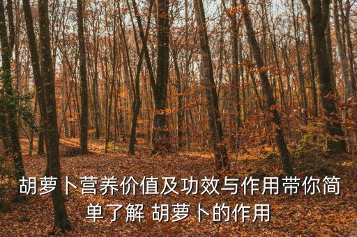  胡蘿卜營養價值及功效與作用帶你簡單了解 胡蘿卜的作用