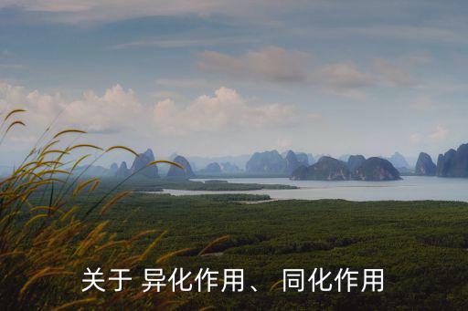 關于 異化作用、 同化作用
