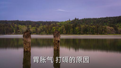  胃脹氣 打嗝的原因