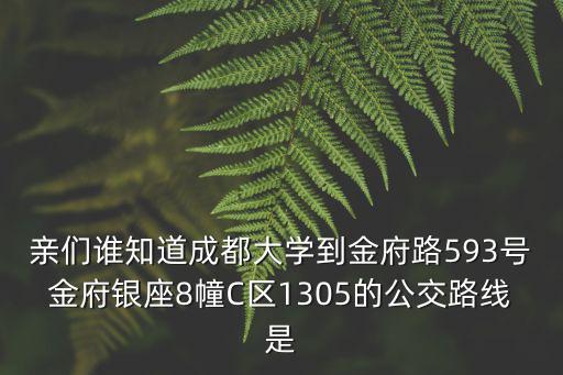 親們誰知道成都大學到金府路593號金府銀座8幢C區1305的公交路線是