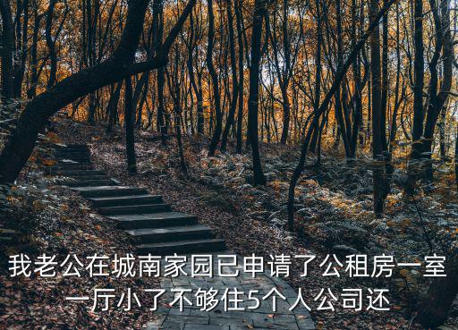 我老公在城南家園已申請了公租房一室一廳小了不夠住5個人公司還