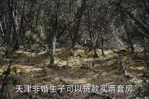 天津市對(duì)未婚生育的政策，天津非婚生子可以貸款買兩套房