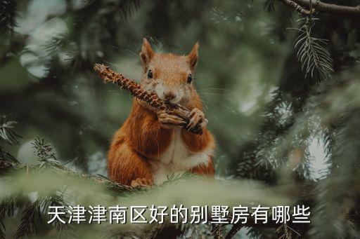 天津津南區好的別墅房有哪些