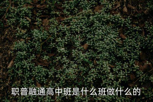 成都市龍泉驛區普職融通班地點，董朗路為什么叫董朗路