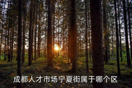 成都人才市場寧夏街屬于哪個區