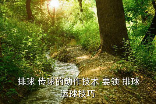  排球 傳球的動作技術(shù) 要領(lǐng) 排球運(yùn)球技巧