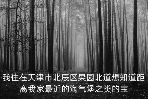 天津市區北辰區遛娃好去處，我住在天津市北辰區果園北道想知道距離我家最近的淘氣堡之類的寶