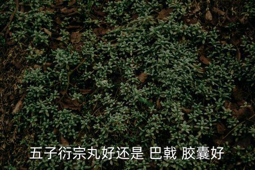 五子衍宗丸好還是 巴戟 膠囊好