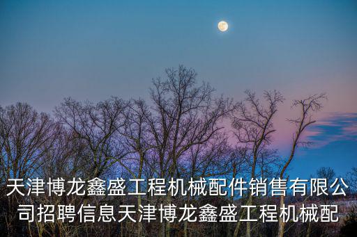 天津博龍鑫盛工程機(jī)械配件銷售有限公司招聘信息天津博龍鑫盛工程機(jī)械配