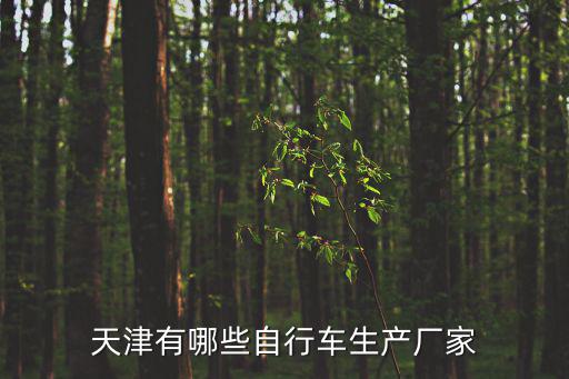 天津有哪些自行車生產廠家