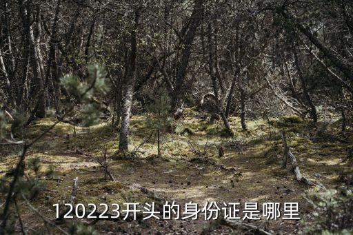 120223開頭的身份證是哪里