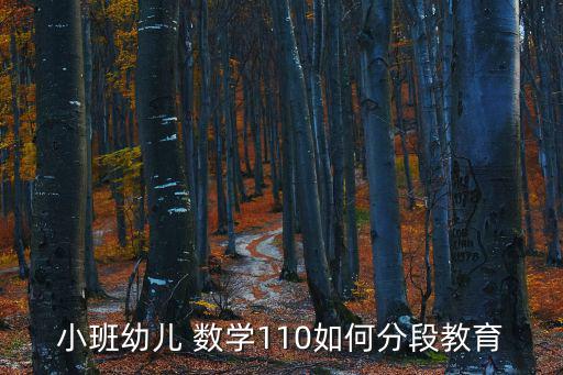 小班幼兒 數(shù)學(xué)110如何分段教育