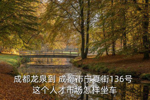 成都龍泉到 成都市寧夏街136號 這個人才市場怎樣坐車