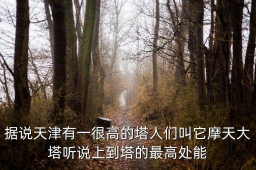 天津市北寧塔，據說天津有一很高的塔人們叫它摩天大塔聽說上到塔的最高處能