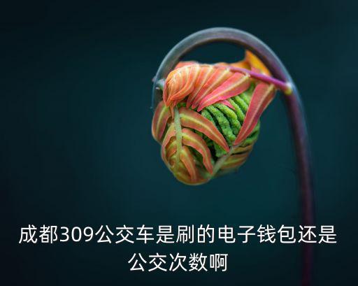 成都309公交車(chē)是刷的電子錢(qián)包還是公交次數(shù)啊