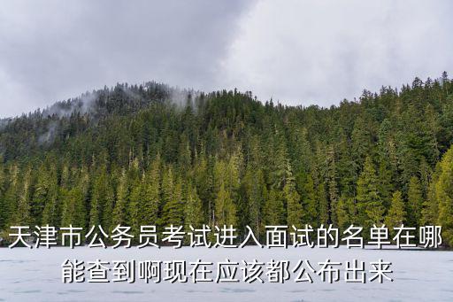 天津市公務(wù)員考試進(jìn)入面試的名單在哪能查到啊現(xiàn)在應(yīng)該都公布出來(lái)