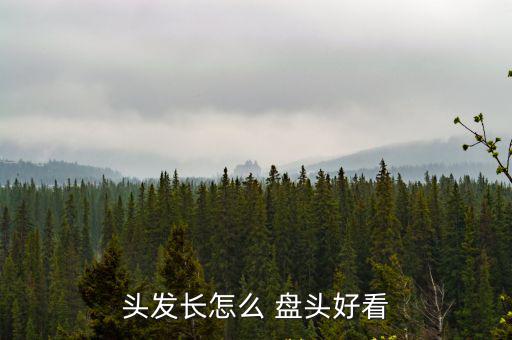 頭發長怎么 盤頭好看