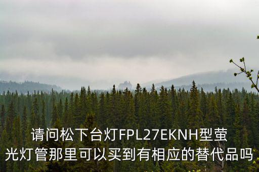 天津市和平區哪能買到松下臺燈，天津哪里有賣漂亮臺燈的地方