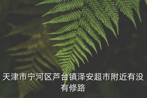 天津市寧河區(qū)蘆臺(tái)鎮(zhèn)澤安超市附近有沒(méi)有修路
