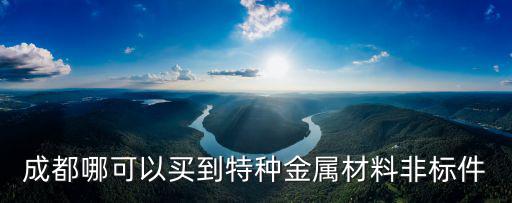 成都哪可以買到特種金屬材料非標件