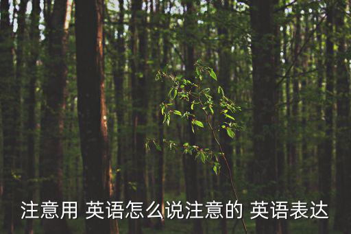 注意用 英語怎么說注意的 英語表達