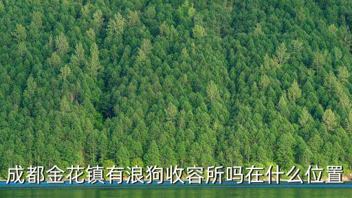成都市金花養(yǎng)狗場，成都新都區(qū)哪里有賣狗的狗場嗎或者有人出售家養(yǎng)邊牧金毛拉布