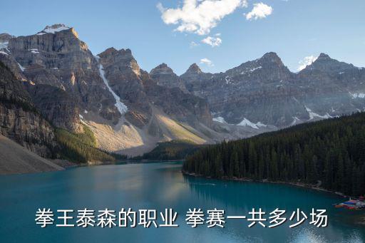 拳王泰森的職業(yè) 拳賽一共多少場