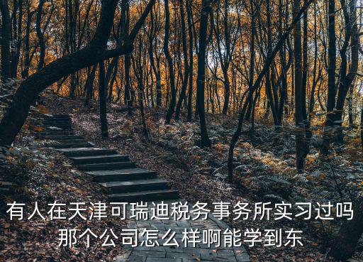 有人在天津可瑞迪稅務(wù)事務(wù)所實(shí)習(xí)過(guò)嗎那個(gè)公司怎么樣啊能學(xué)到東