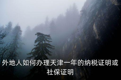 天津市代理報稅中心，天津個人所得稅代扣代繳系統里怎么增加以前申報的月份