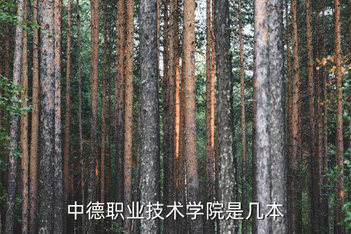 中德職業(yè)技術(shù)學院是幾本