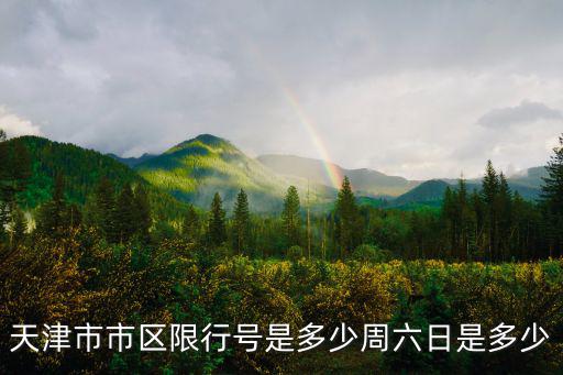 天津市市區限行號是多少周六日是多少