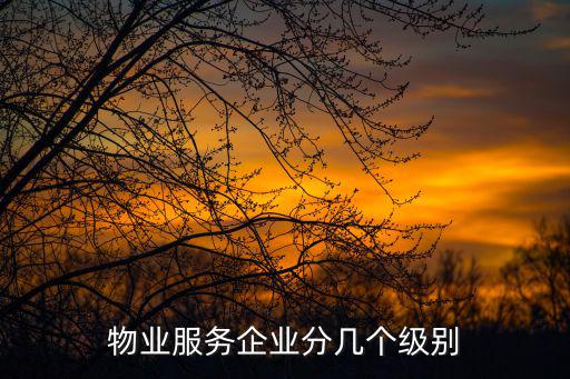 物業(yè)服務企業(yè)分幾個級別