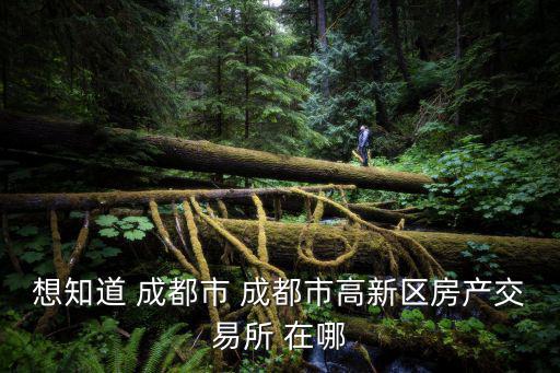 想知道 成都市 成都市高新區房產交易所 在哪