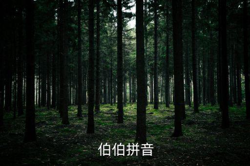  伯伯拼音