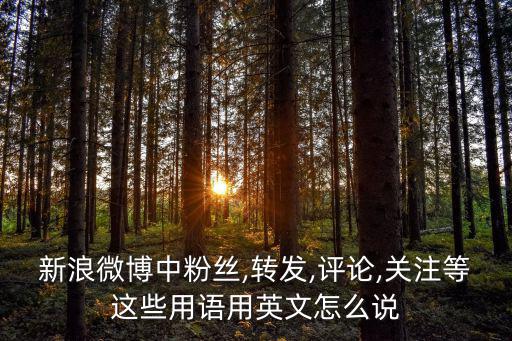 新浪微博中粉絲,轉發(fā),評論,關注等這些用語用英文怎么說