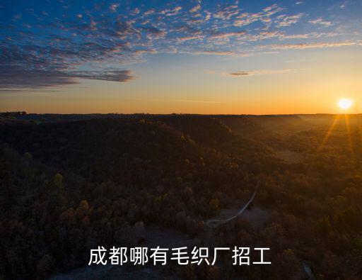 成都哪有毛織廠招工