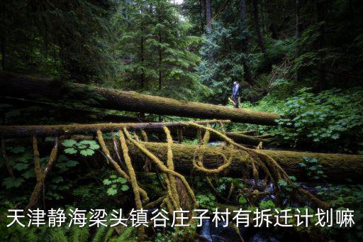 天津靜海梁頭鎮谷莊子村有拆遷計劃嘛