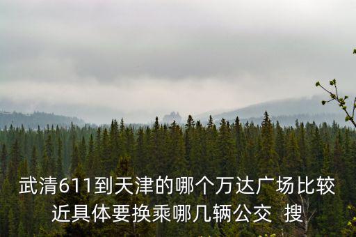 武清611到天津的哪個萬達廣場比較近具體要換乘哪幾輛公交  搜