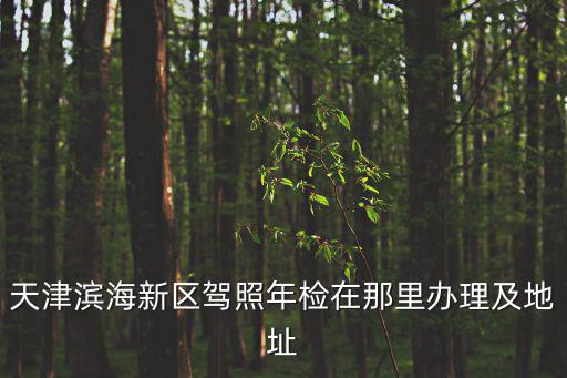 天津濱海新區駕照年檢在那里辦理及地址