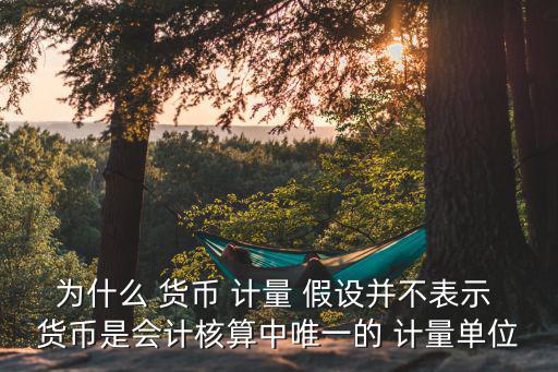 為什么 貨幣 計量 假設并不表示 貨幣是會計核算中唯一的 計量單位